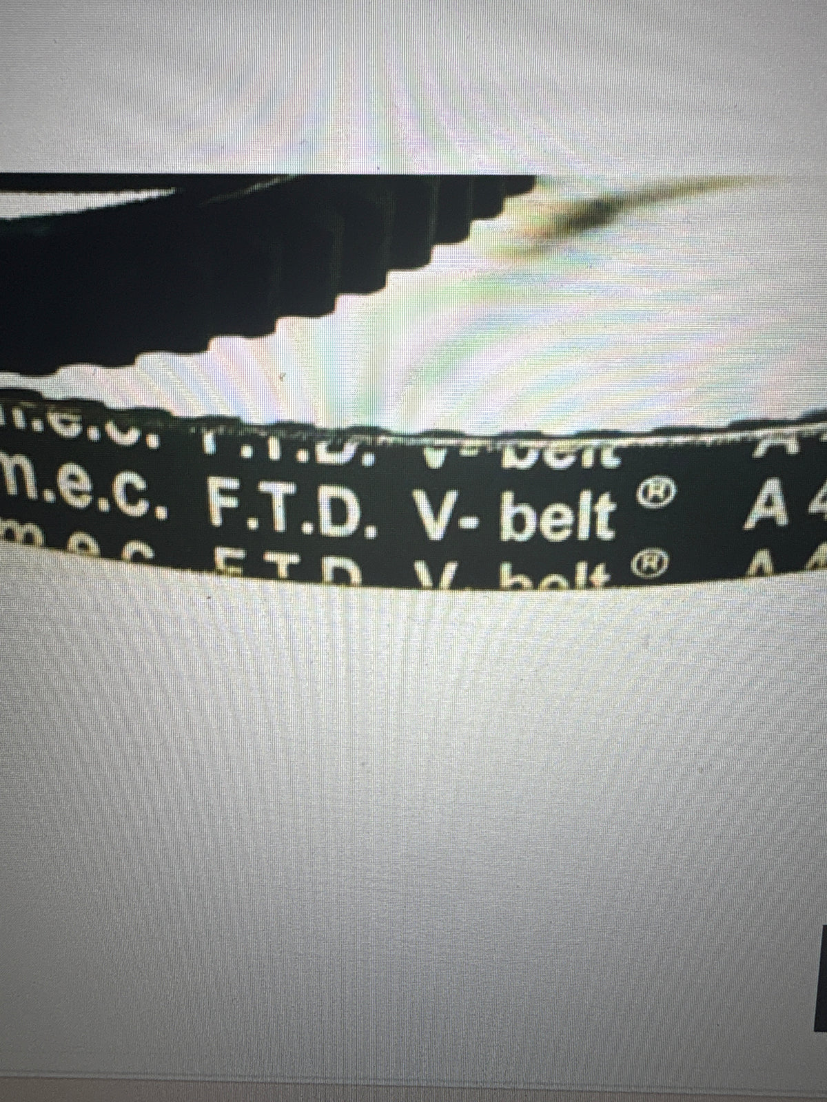 CINGHIA DENTATA FTD-A-36